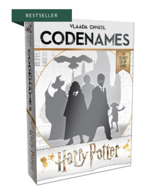 Harry Potter Codenames Game